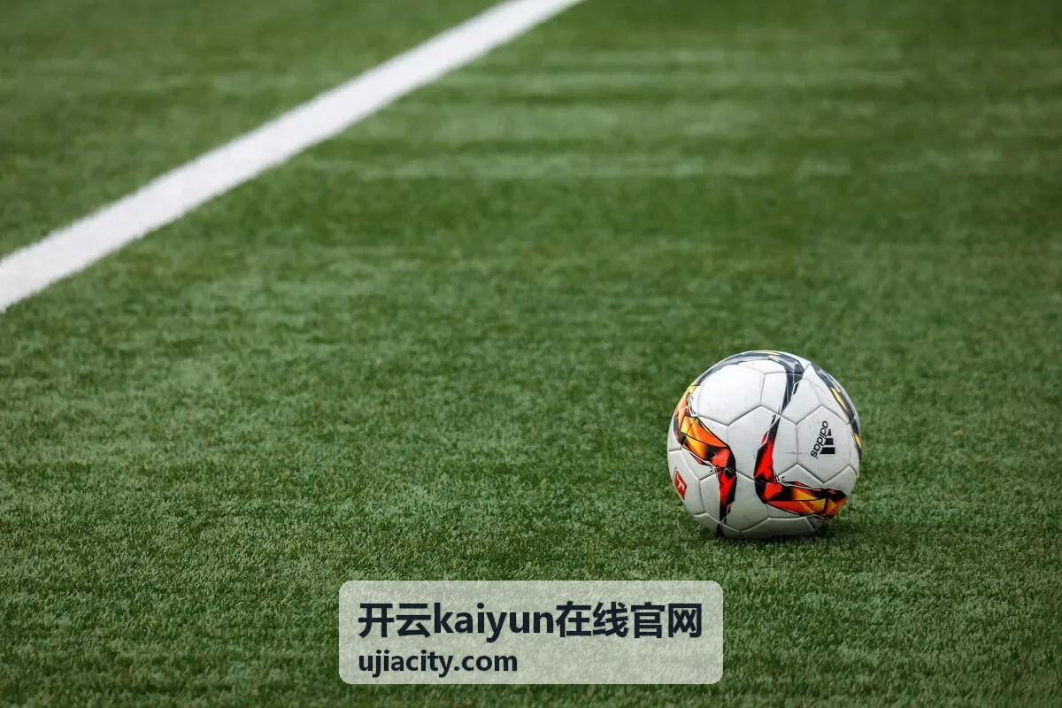 开云kaiyun在线官网账号与设备管理入口说明
